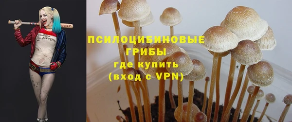 apvp Каменногорск