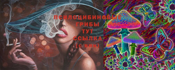 а пвп мука Каменка