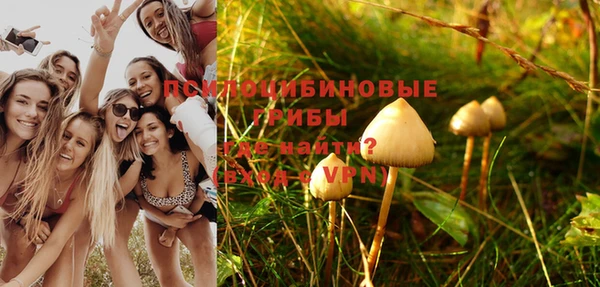 а пвп мука Каменка