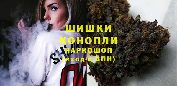 apvp Каменногорск