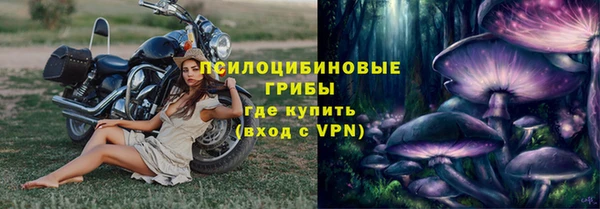 а пвп мука Каменка