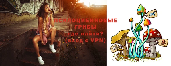 apvp Каменногорск