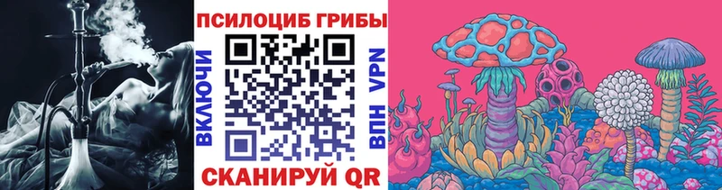 Галлюциногенные грибы Psilocybe  Купить где  Верхоянск 